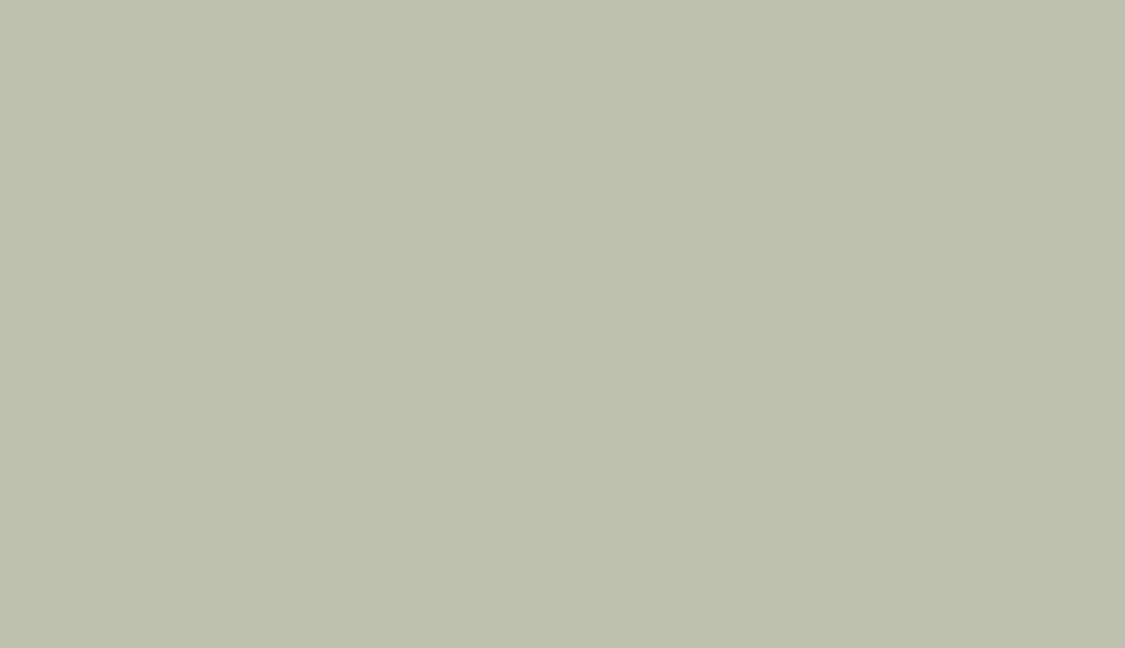 Light green textured background.